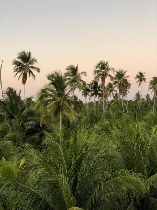 Recanto Dos Coqueirais Sao Miguel dos Milagres Bagian luar foto