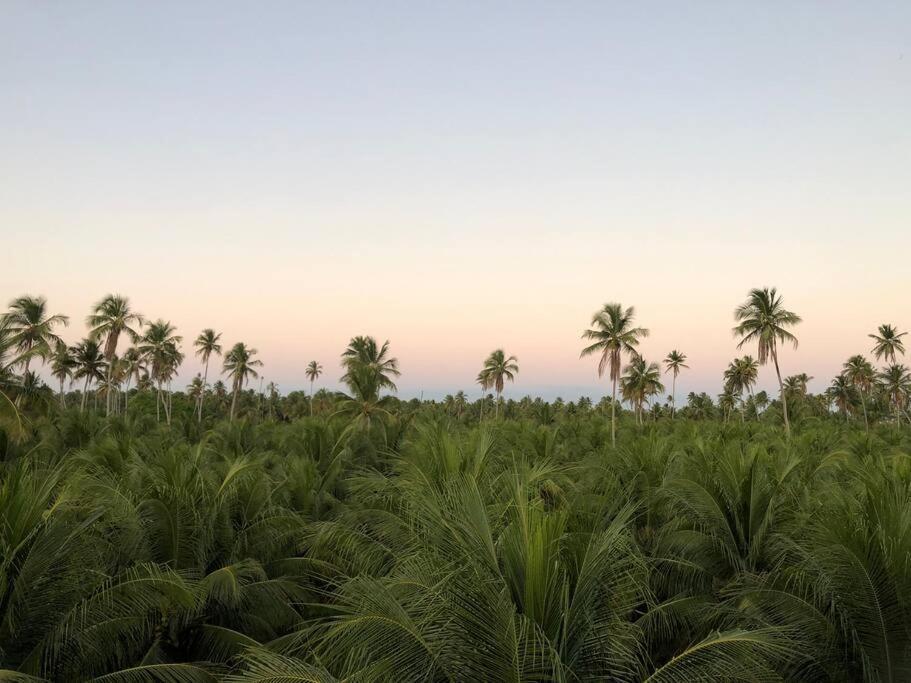 Recanto Dos Coqueirais Sao Miguel dos Milagres Bagian luar foto